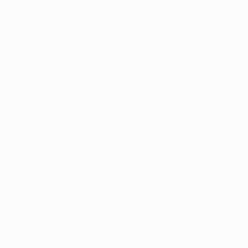 Animated Logo 500x500 px.gif