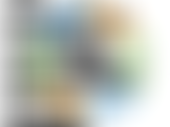 The Importance of Tutors Being Subject Matter Experts