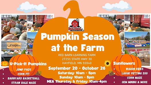 Pumpkin Season at the Farm (4).png