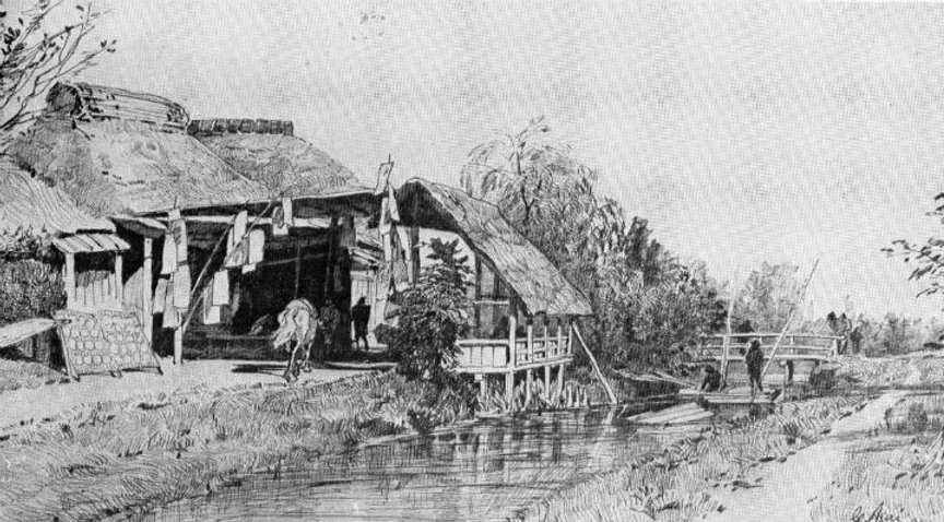 浅井忠について