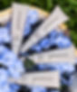 epionce summer sale