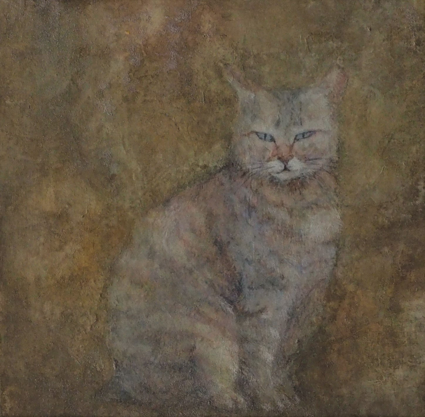 島猫　-　福島来幸