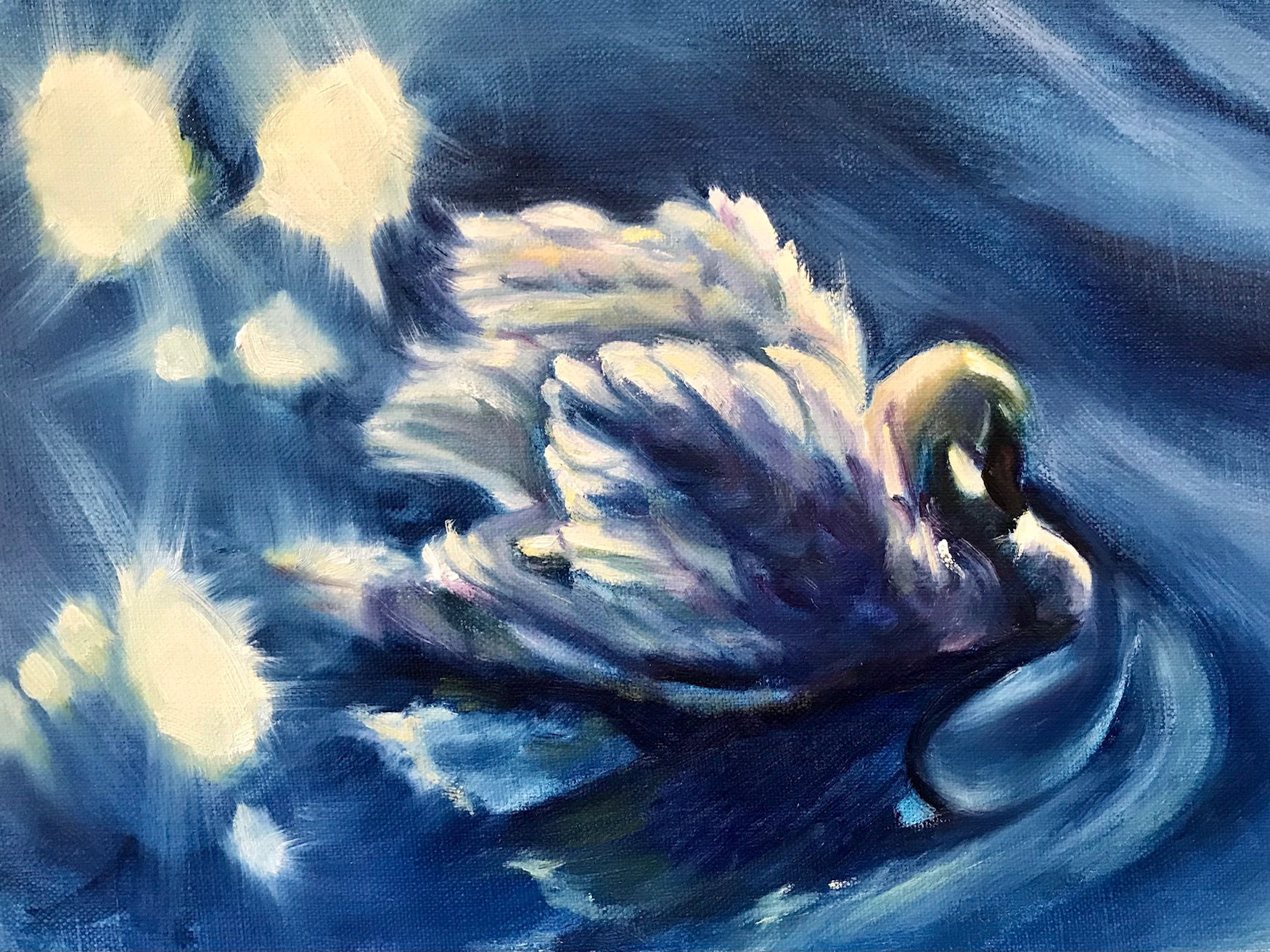 白鳥の輝き　- 　清田晴美