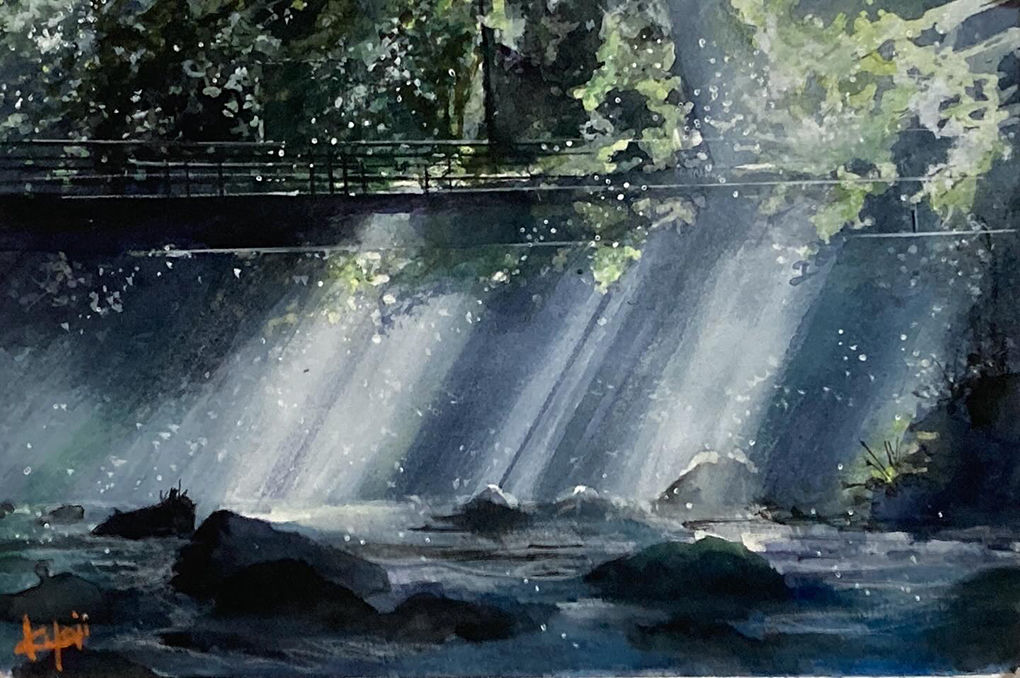 光芒-円原川　－　マダラキキョウジ