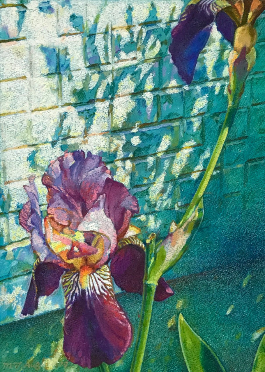 皐月晴れの菖蒲 - Iris in the early-summer