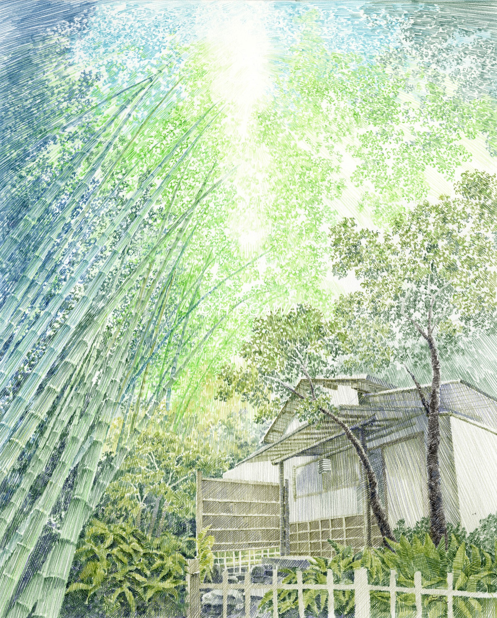 竹の寺