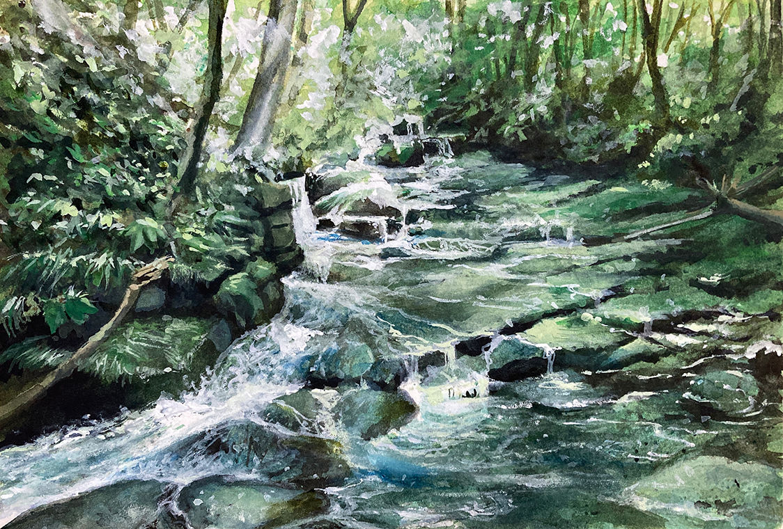 静寂と流るる - マダラキキョウジ