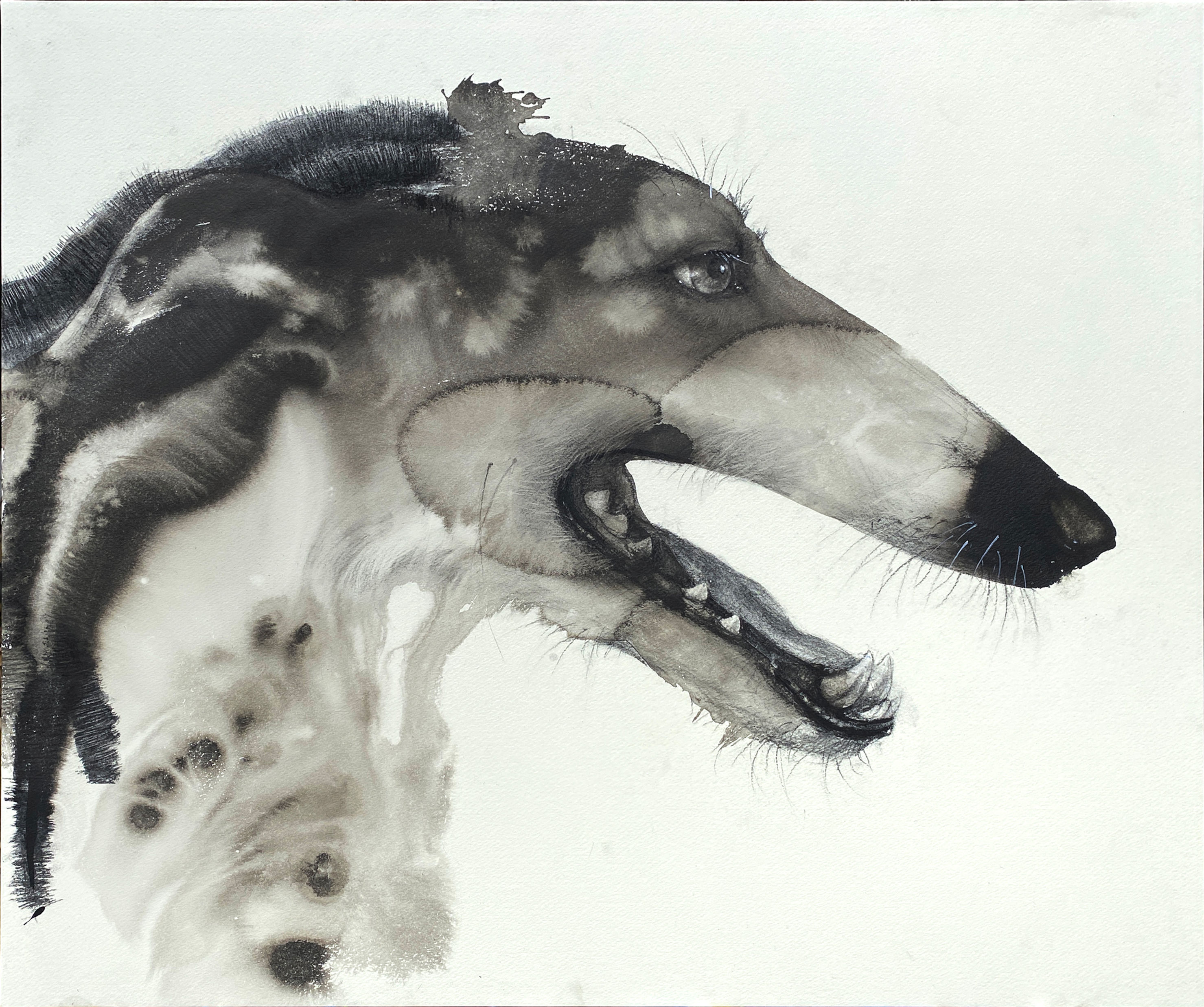 Dreadlocks star - 池上武男