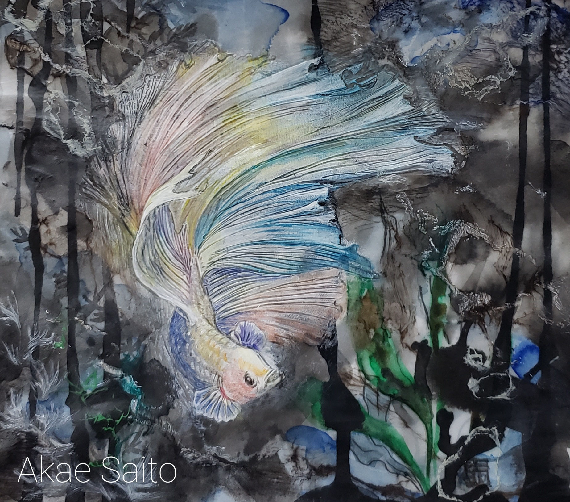 舞う魚　－　齋藤赤絵