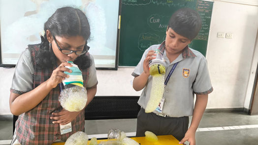 Grade 7 - Rainbow Bubble Snake