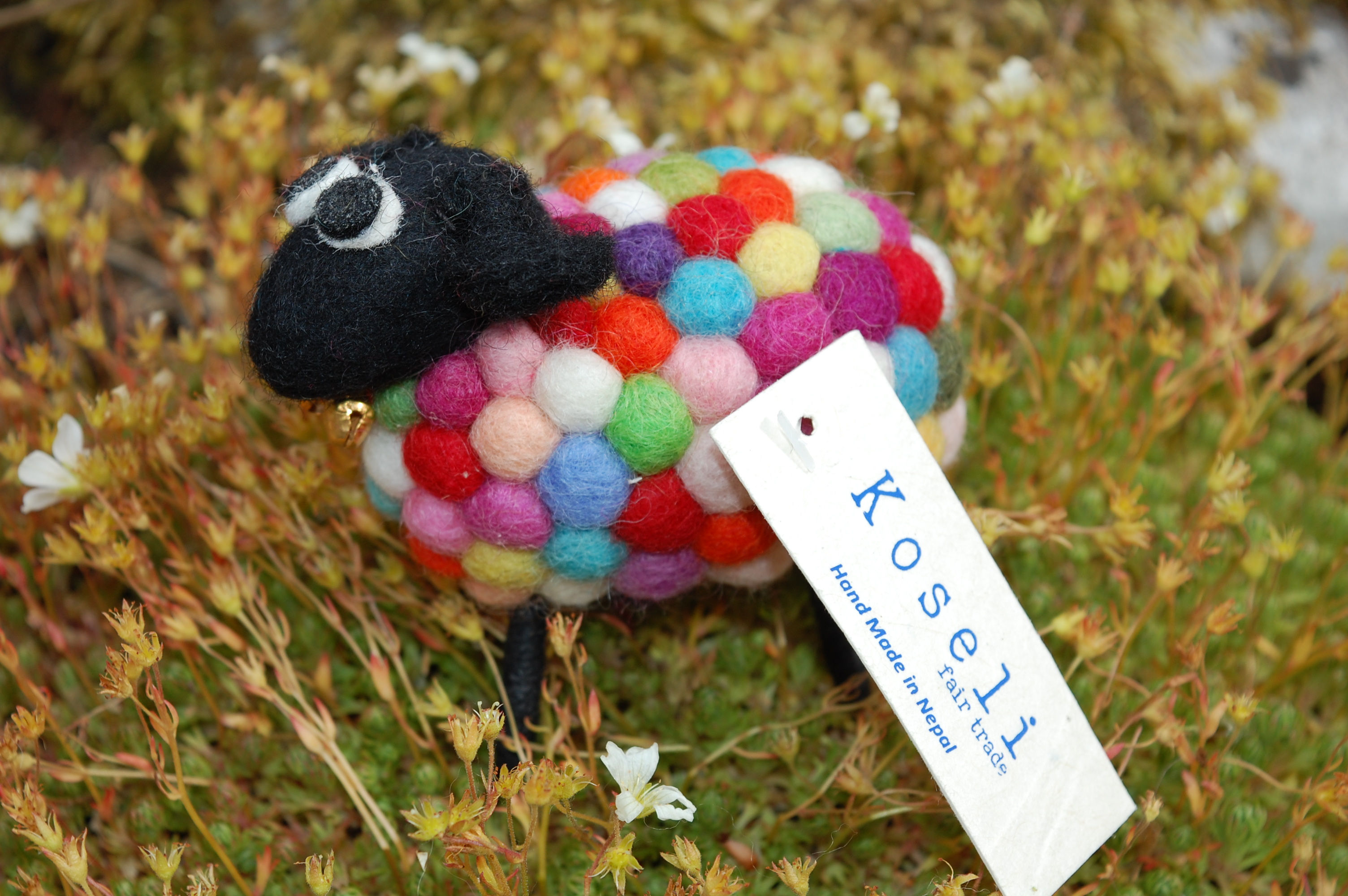 Pompom Sheep