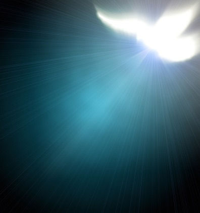 HoldImage for Dynamic Page