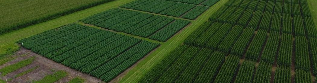 Aerial view of test site at Planet Earth Agronomy in Black Earth Wisconsin