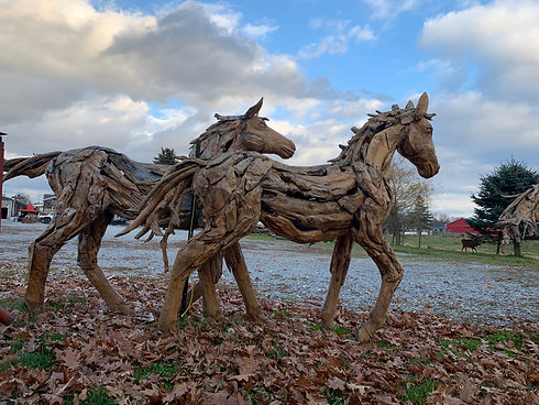DriftWoodHorses.jpeg
