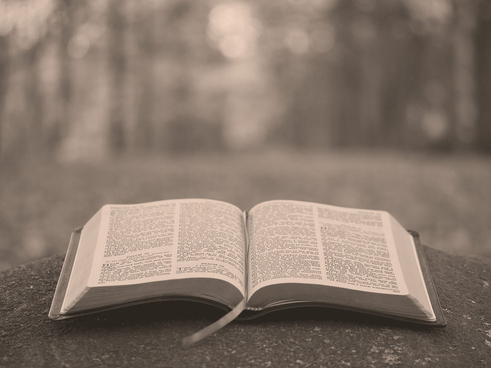 bible page on gray concrete surface_edited.jpg