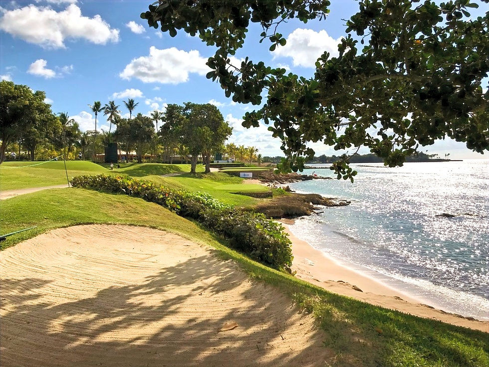 The warm caribbean sea washes up against the beautiful shoreline of Casa de Campo and Teeth of the Dog golf course in the Dominican Republic.