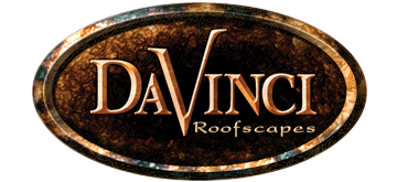 davinci.png
