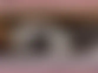 I cani "vedono" attraverso gli odori?