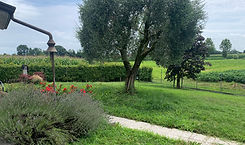 IMG_1787_edited.jpg