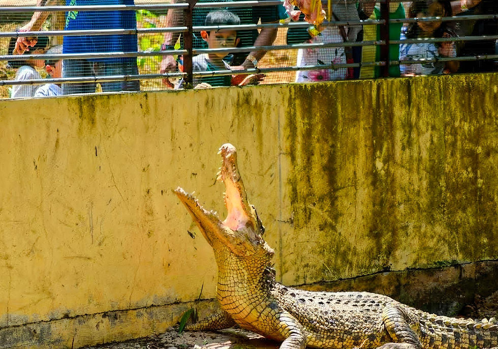 10 Underrated Natural Wonders in Melaka