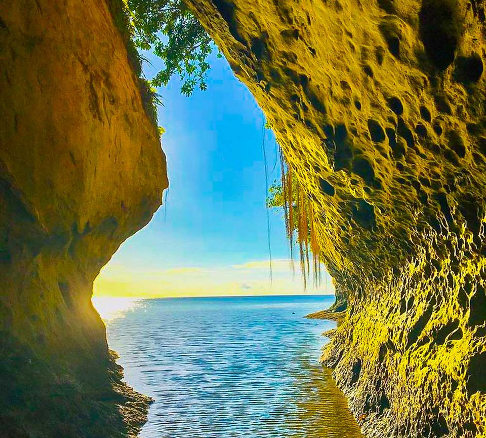 The Island of Sorrow