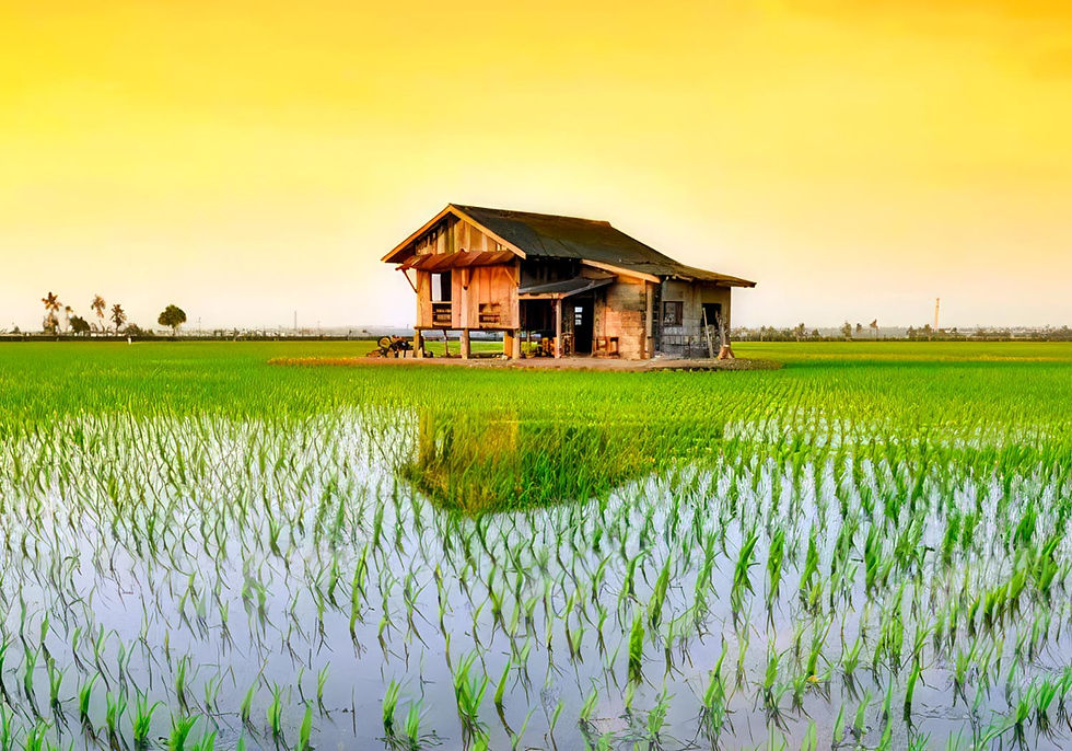 Top 10 things to do in Selangor: Your ultimate travel guide