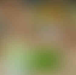 Serikin: Sarawak’s unique cross-culture region