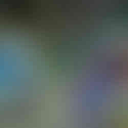 Borneo Cultures Museum To Open on March 9