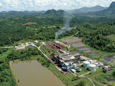 SALCRA Palm Oil Mills sees green