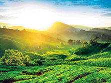 10 Unforgettable Natural Wonders in Pahang
