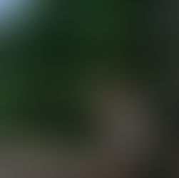 Top 10 things to do in Selangor: Your ultimate travel guide