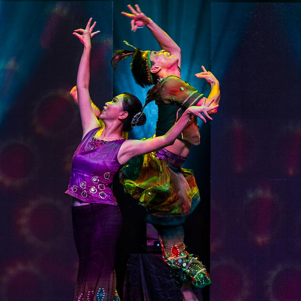 Dancer Interface Performing Arts (Malaysia)