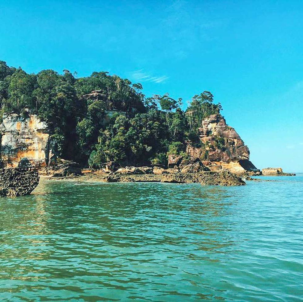 Five Best Things to do in Bako National Park