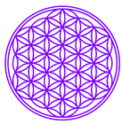 large purple.png