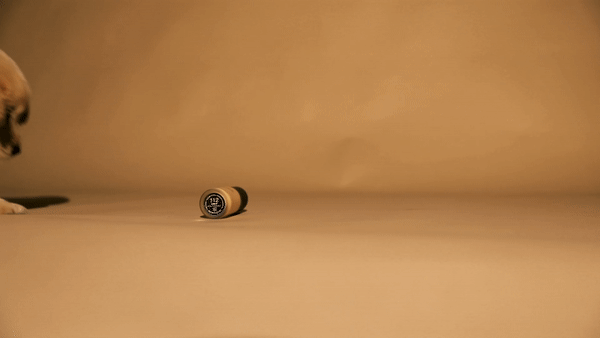 ezgif.com-gif-maker (14) copy 2.gif