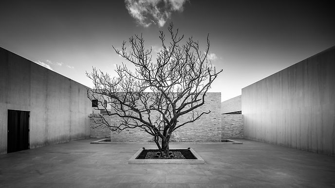 Nobu Los Cabos Hotel, Hotel Photographer _shoottokiill00008.jpg