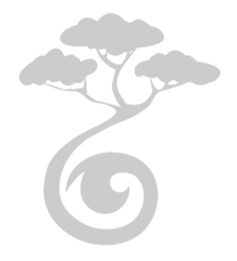 Logo for Nabulen photography