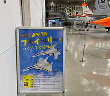 IMG_2633.jpeg