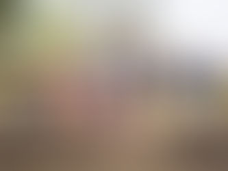 Finding joy in your siblings!