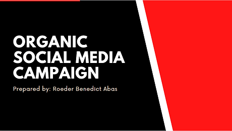 ORGANIC SOCIAL MEDIA CAMPAIGN
