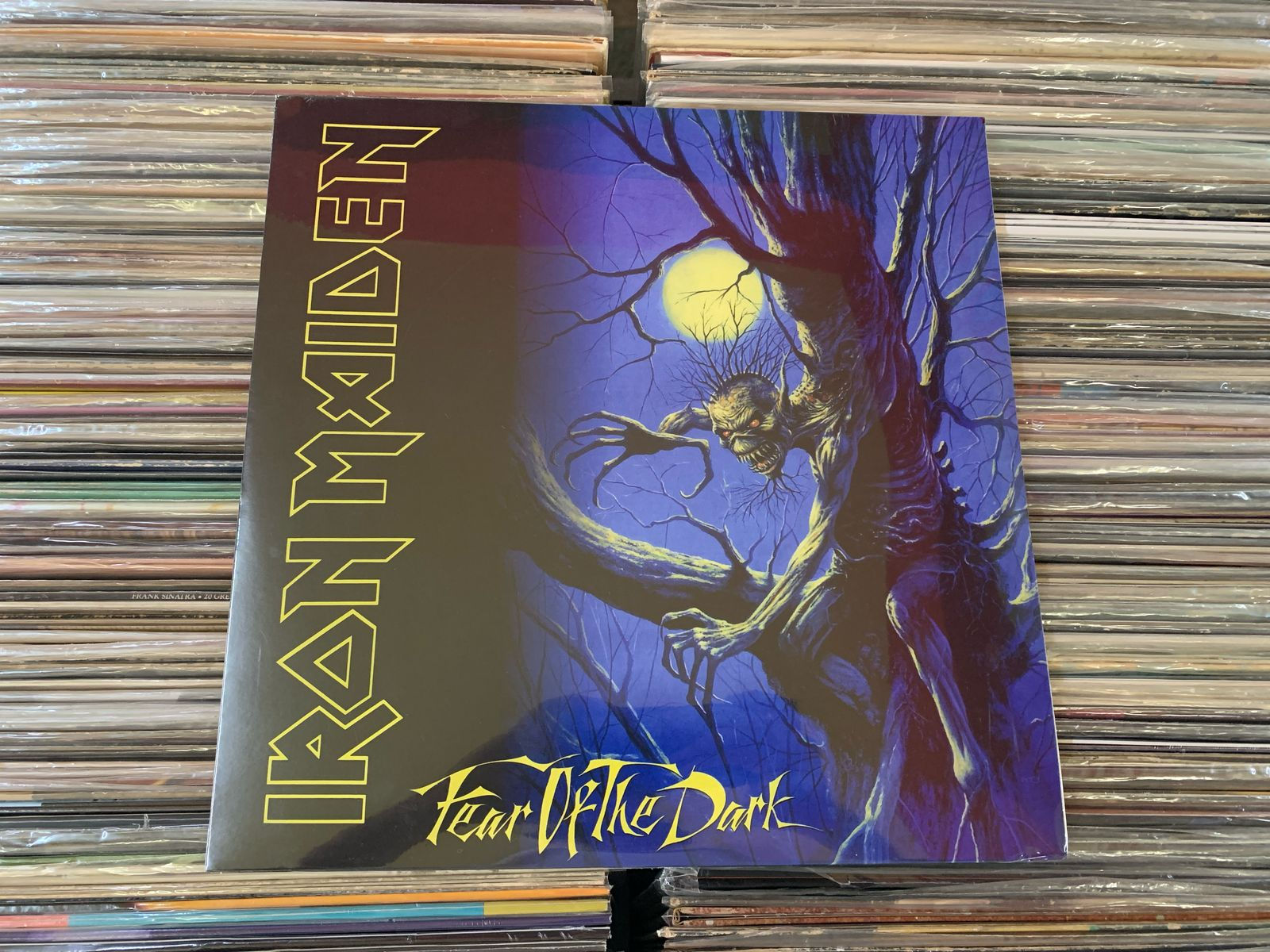 LP Iron Maiden - Fear Of The Dark - Duplo - Importado