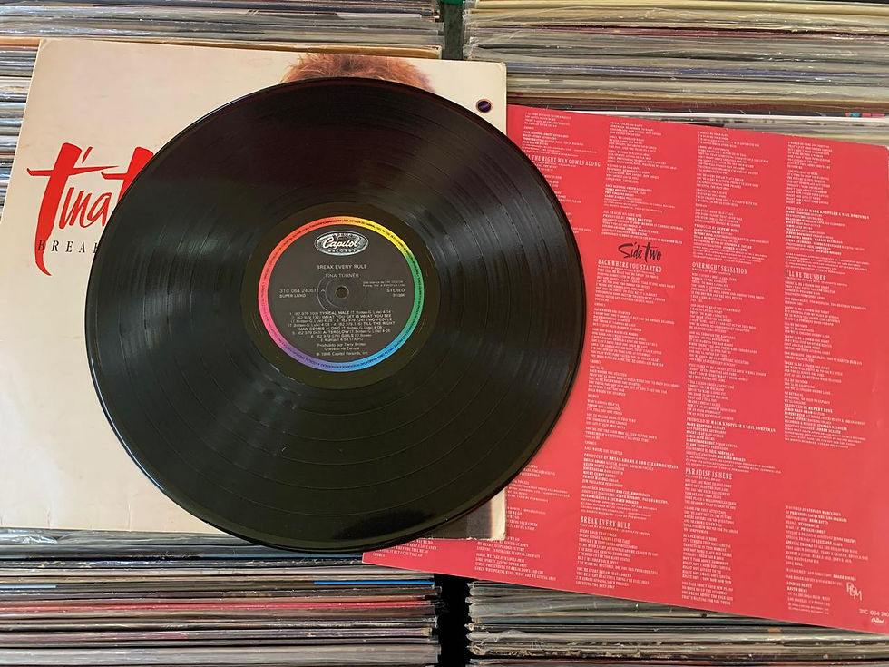 Miniatura: LP Tina Turner - Break Every Rule - C/ Encarte