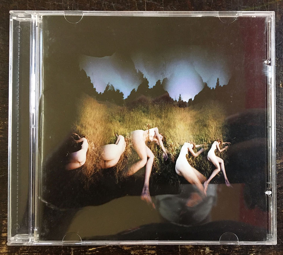 CD Amorphous Androgynous - The Isness