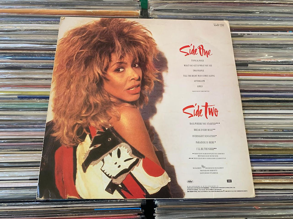 Miniatura: LP Tina Turner - Break Every Rule - C/ Encarte