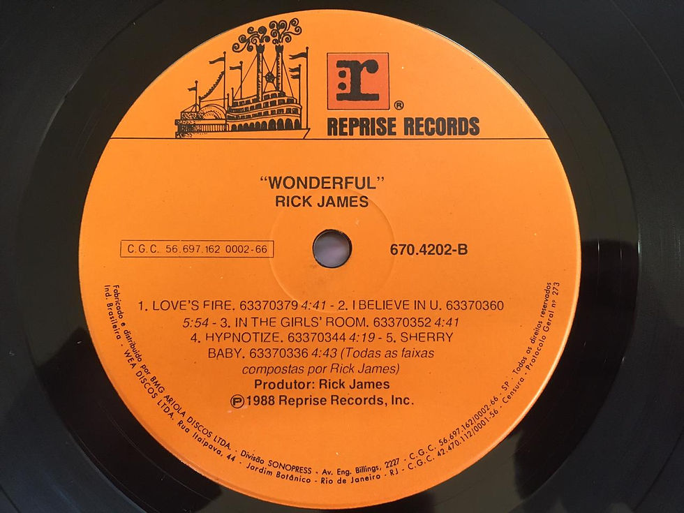Miniatura: LP Rick James - Wonderful - Capa Dupla