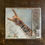 Miniatura: CD Carcass - Surgical Steel (Complete Edition) - +Bônus - Lacrado