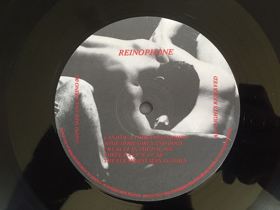 Miniatura: LP The Reindeers - Hysterical Home - Importado