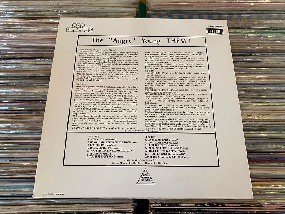 Miniatura: LP Them - The "Angry" Young Them! (Importado)