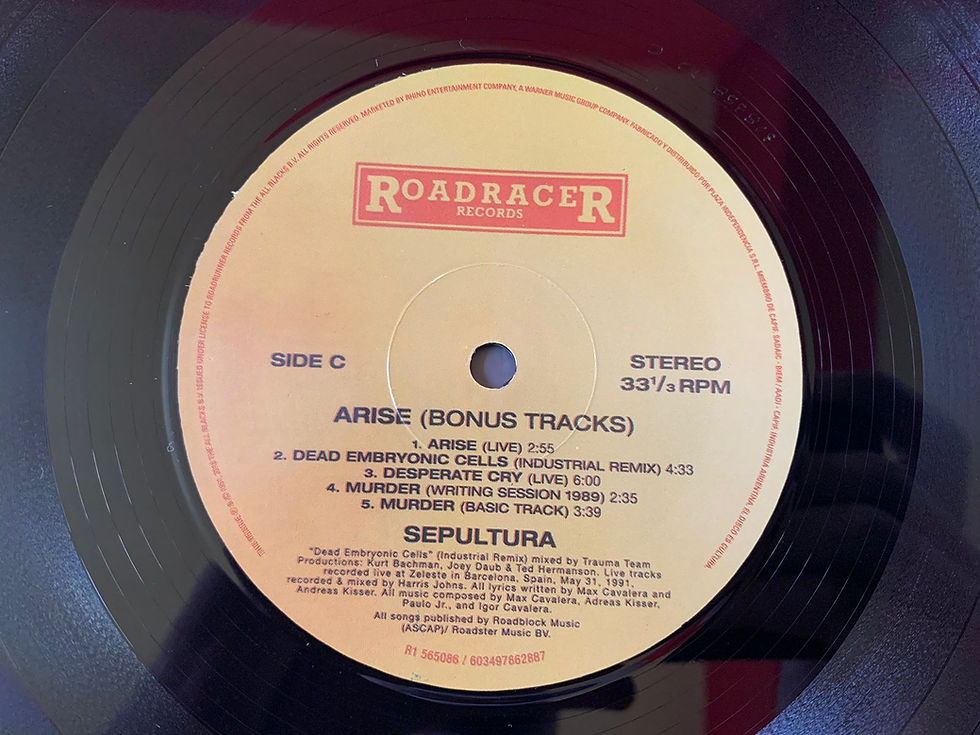 Miniatura: LP Sepultura - Arise - Duplo, Importado , C/ Encarte + Livreto