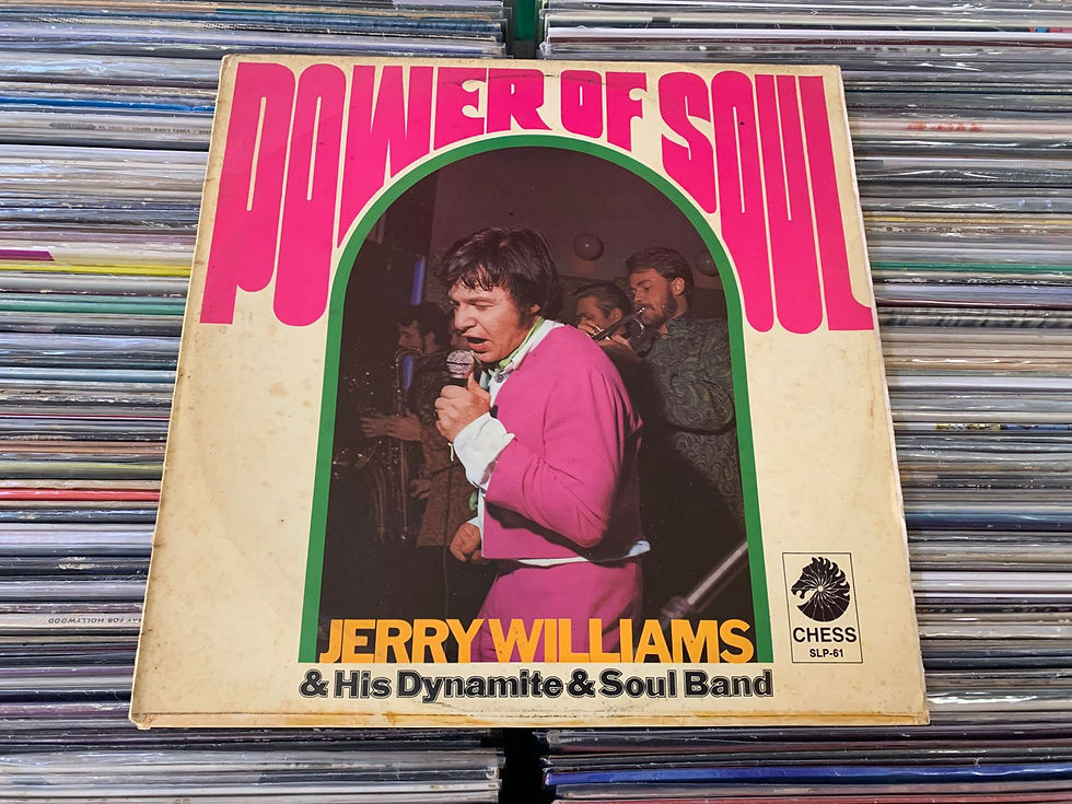 Miniatura: LP Jerry Williams & His Dynamite & Soul Band – Power Of Soul